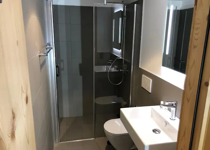 Appartement Catrina 3-zimmer Premium By Interhome Disentis